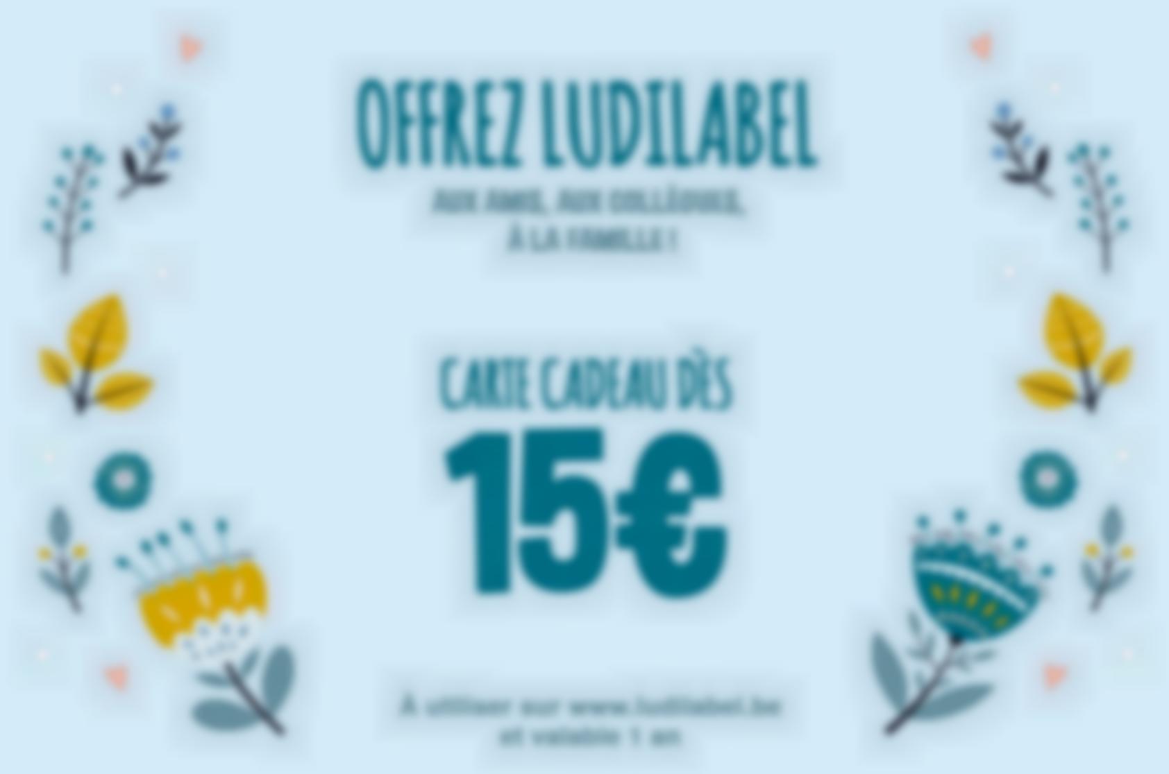 Offrez Ludilabel à la famille et aux amis dès 15 euros la carte cadeau valable 1 an.